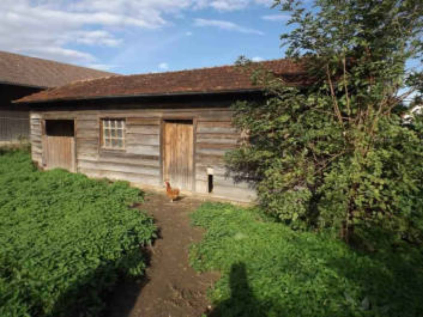 land- und forstwirtschaftlich genutztes Grundstück in Nähe Holzkirchener Str., 86666 Burgheim, Illdorf - Bild 2