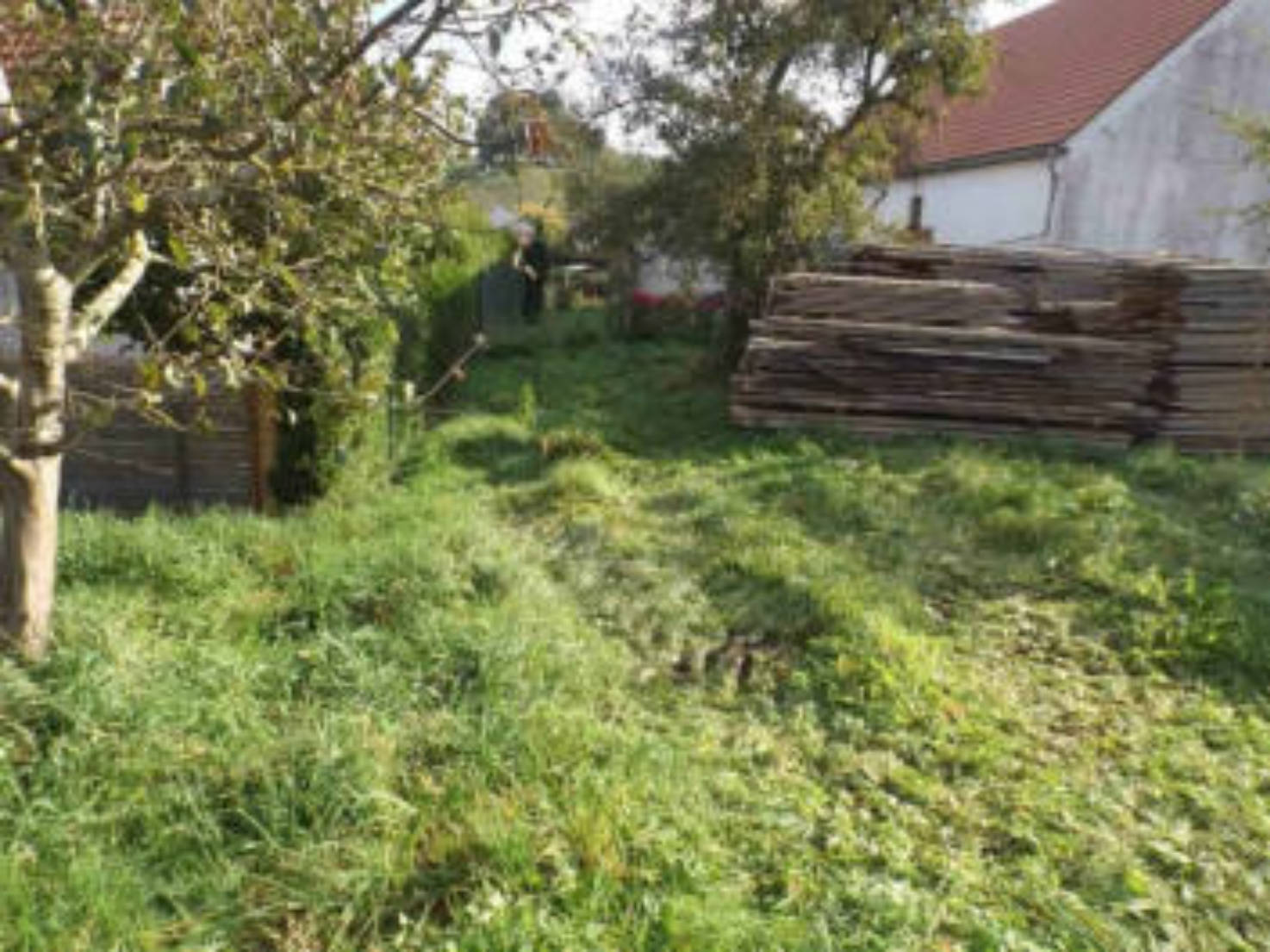 bayern K 0033/2024 Nähe Holzkirchener Str., 86666 Burgheim, Illdorf 8