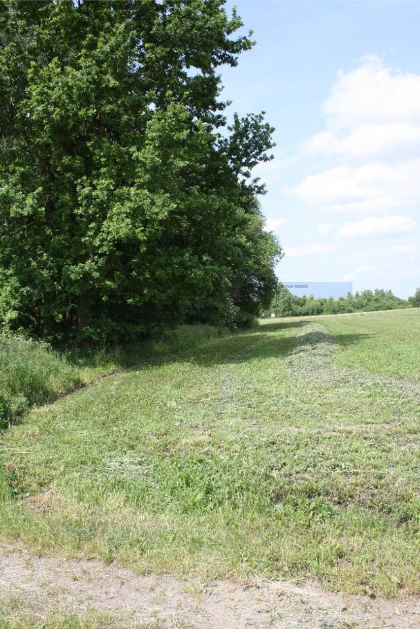 Landwirtschaftsfläche in Kühlbühl, 95199 Thierstein