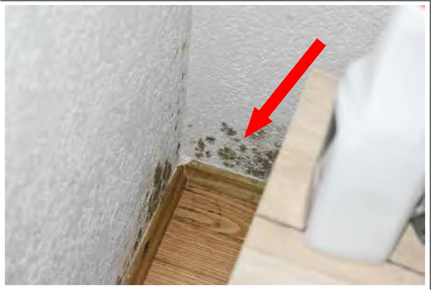 bayern K 0034/2024 Am Pulverl 31, 85051 Ingolstadt 22