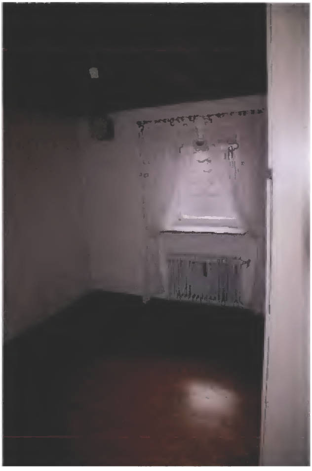 bayern K 0036/2024 Donaustraße 2, 89434 Blindheim 7