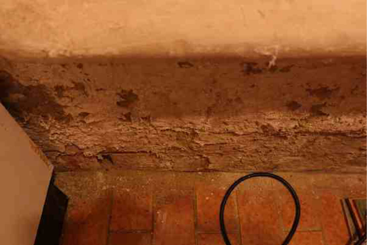 bayern K 0037/2024 Schwabenweg  24, 86199 Augsburg 13