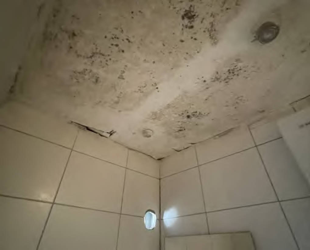 bayern K 0038/2025 Münchner Straße 1, 86415 Mering 17