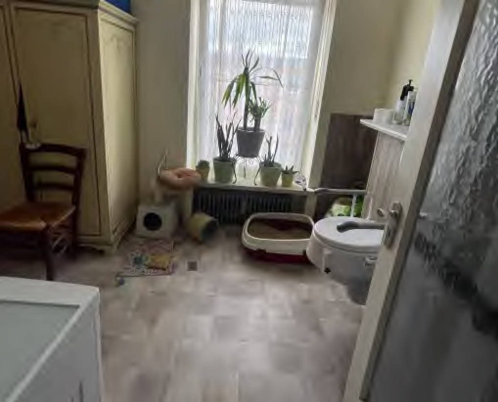 bayern K 0038/2025 Münchner Straße 1, 86415 Mering 21