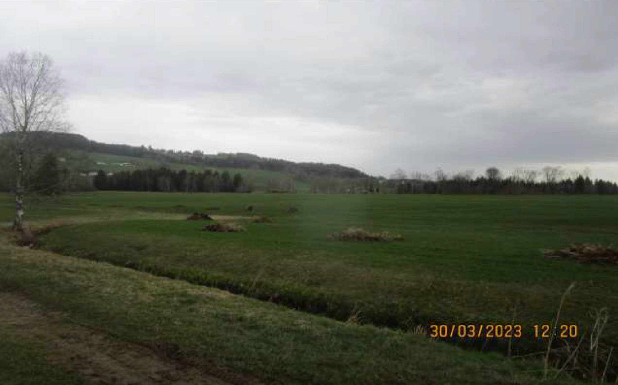 land- und forstwirtschaftlich genutztes Grundstück in Wank, Esch, 87549 Rettenberg - Bild 4