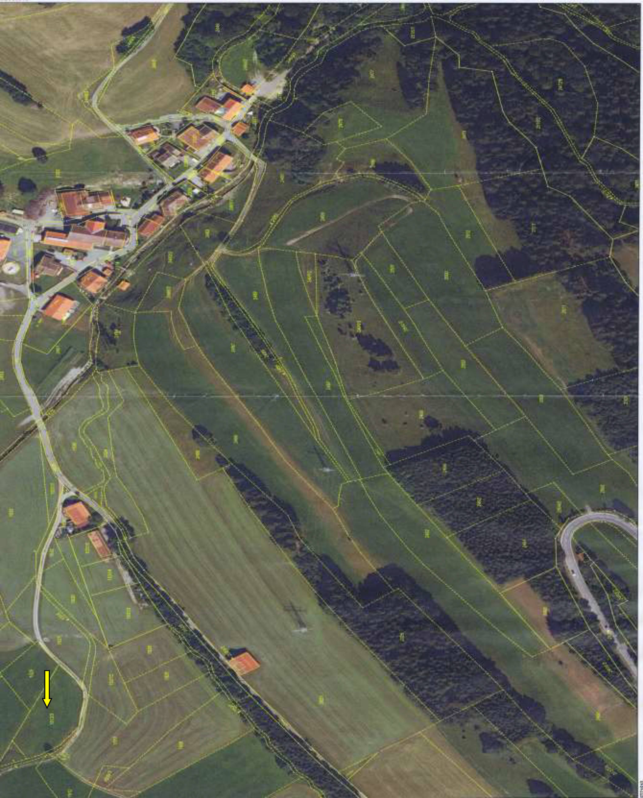 land- und forstwirtschaftlich genutztes Grundstück in Wank, Esch, 87549 Rettenberg - Bild 3