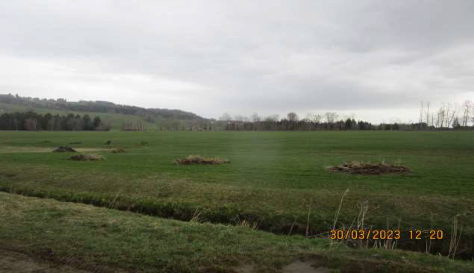 land- und forstwirtschaftlich genutztes Grundstück in Wank, Esch, 87549 Rettenberg - Bild 5