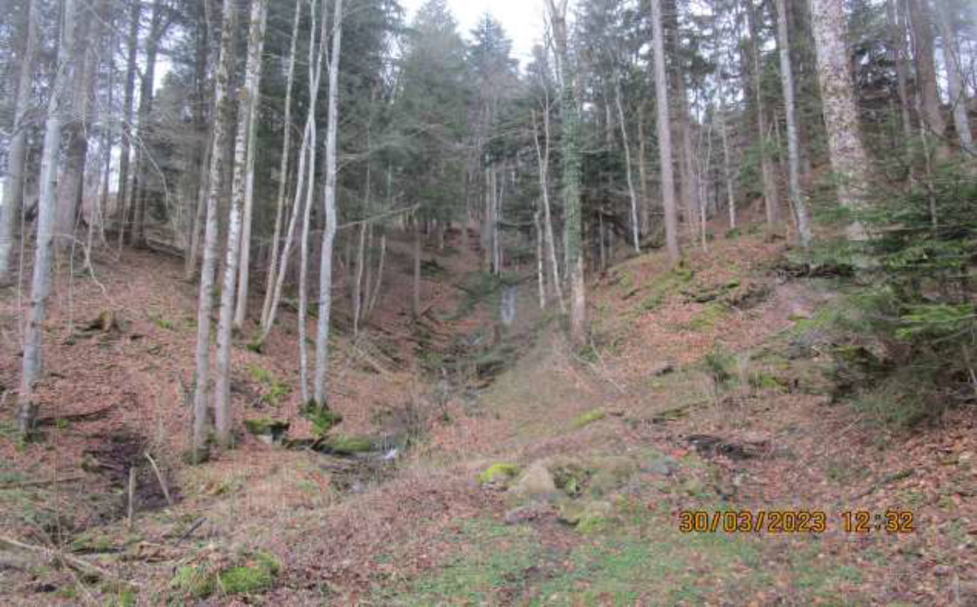 bayern K0043/2022 Wank, Esch, 87549 Rettenberg 6