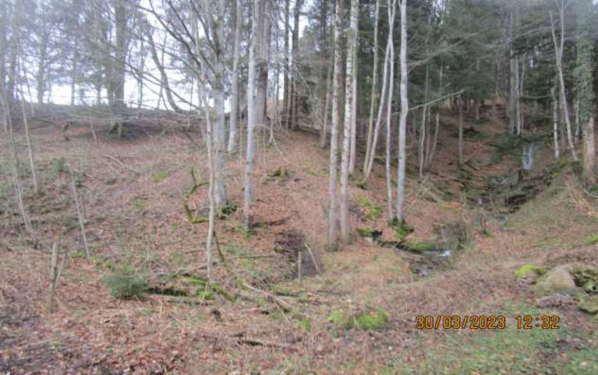 land- und forstwirtschaftlich genutztes Grundstück in Wank, Esch, 87549 Rettenberg - Bild 2