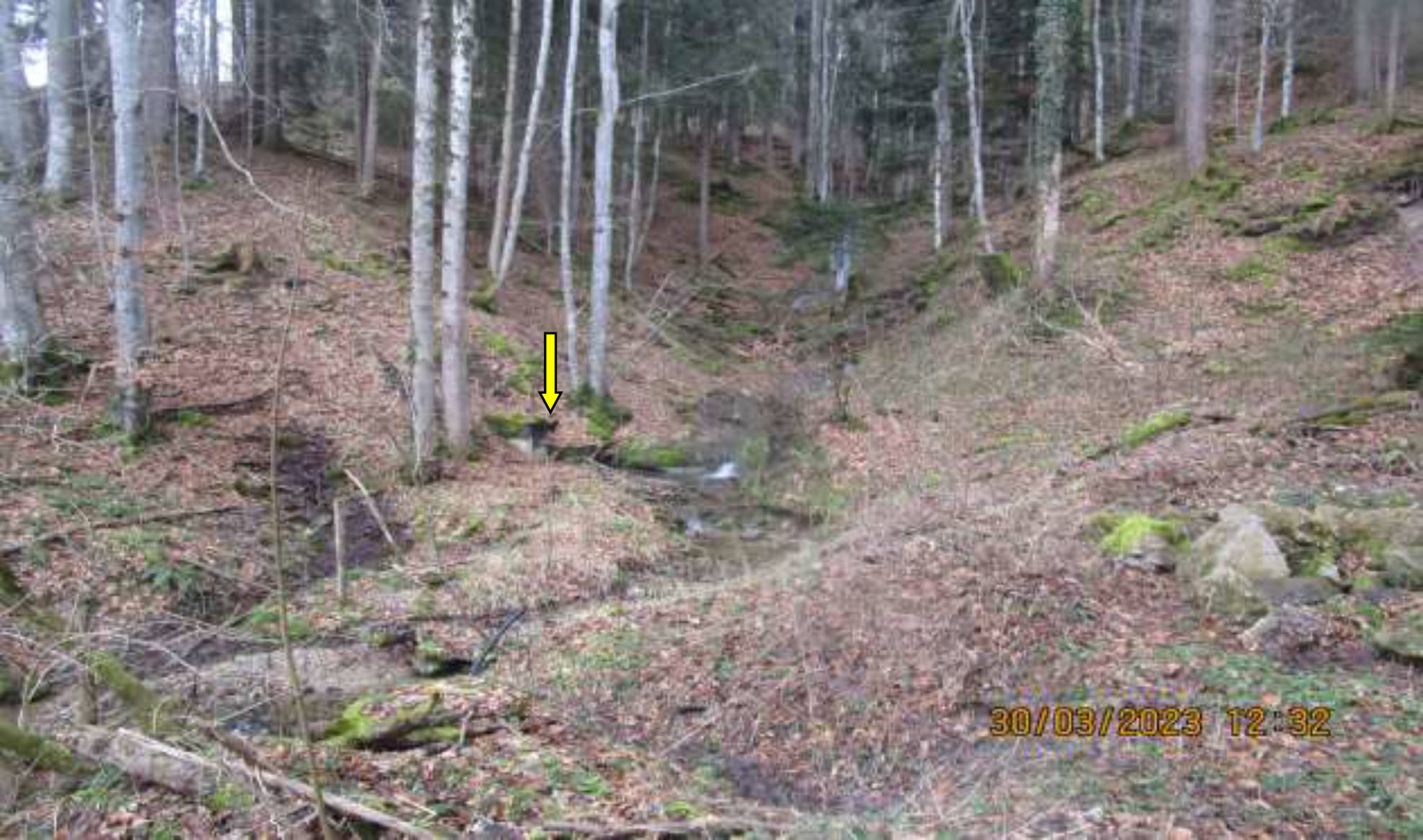 bayern K0043/2022 Wank, Esch, 87549 Rettenberg 8