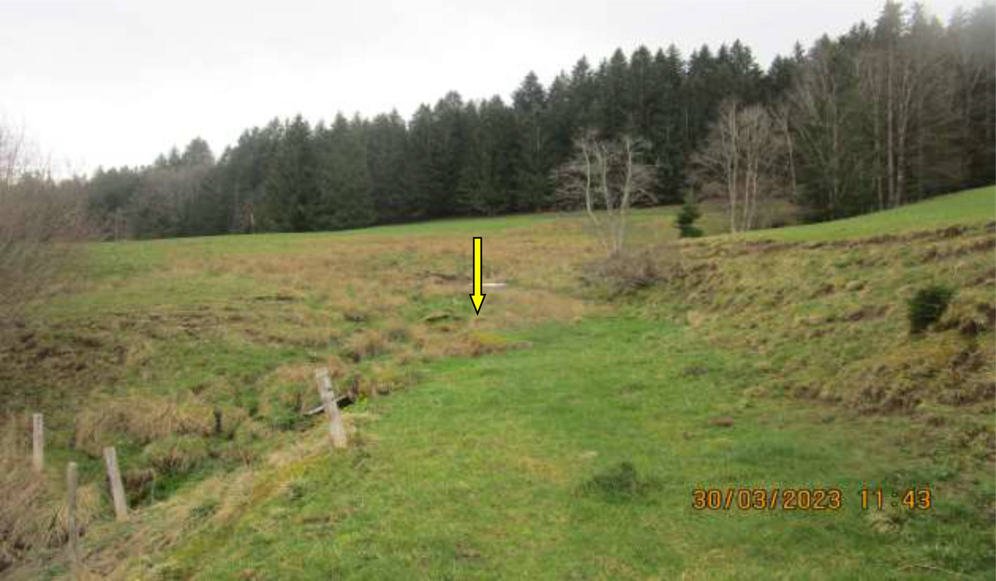 bayern K0046-2022 Schotthalden  , 87549 Rettenberg,