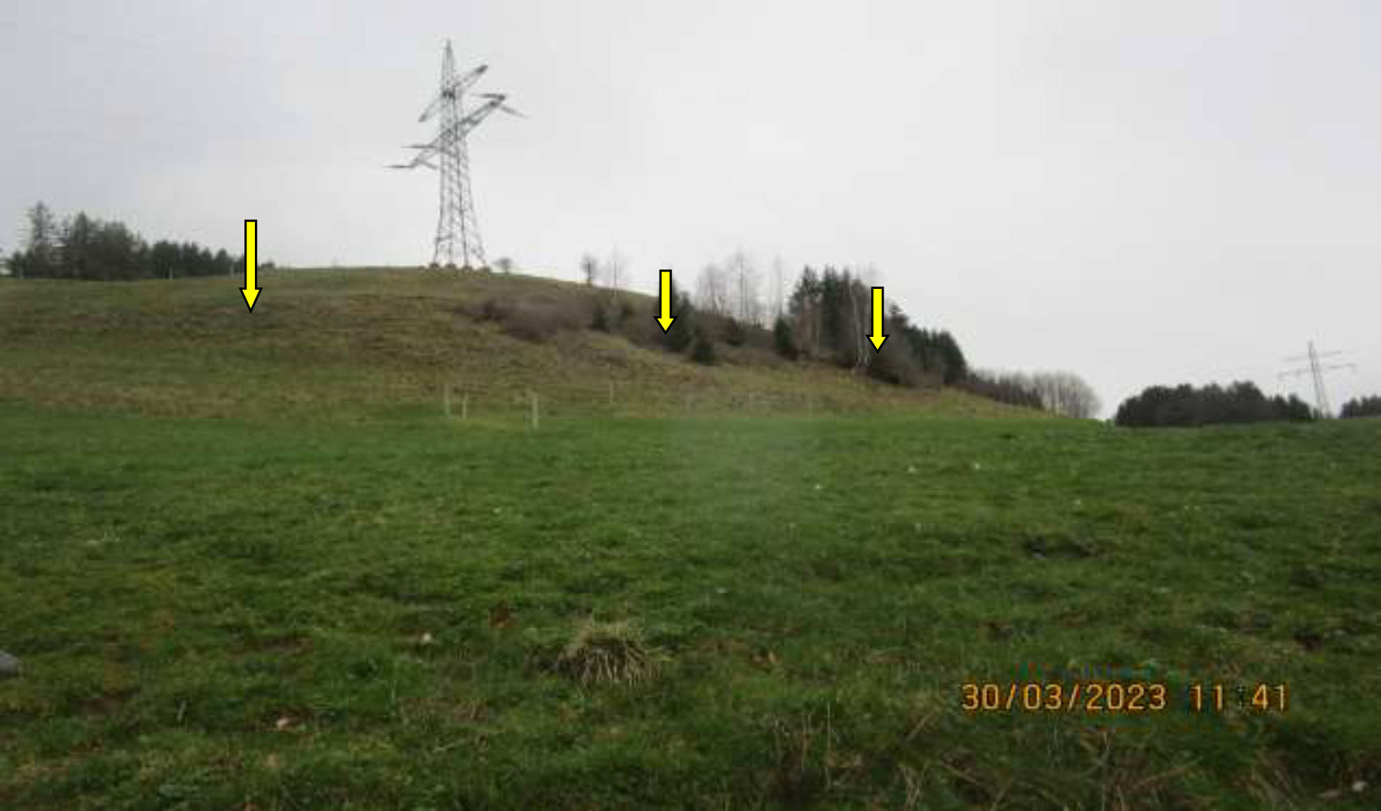 bayern K0046-2022 Schotthalden  , 87549 Rettenberg,