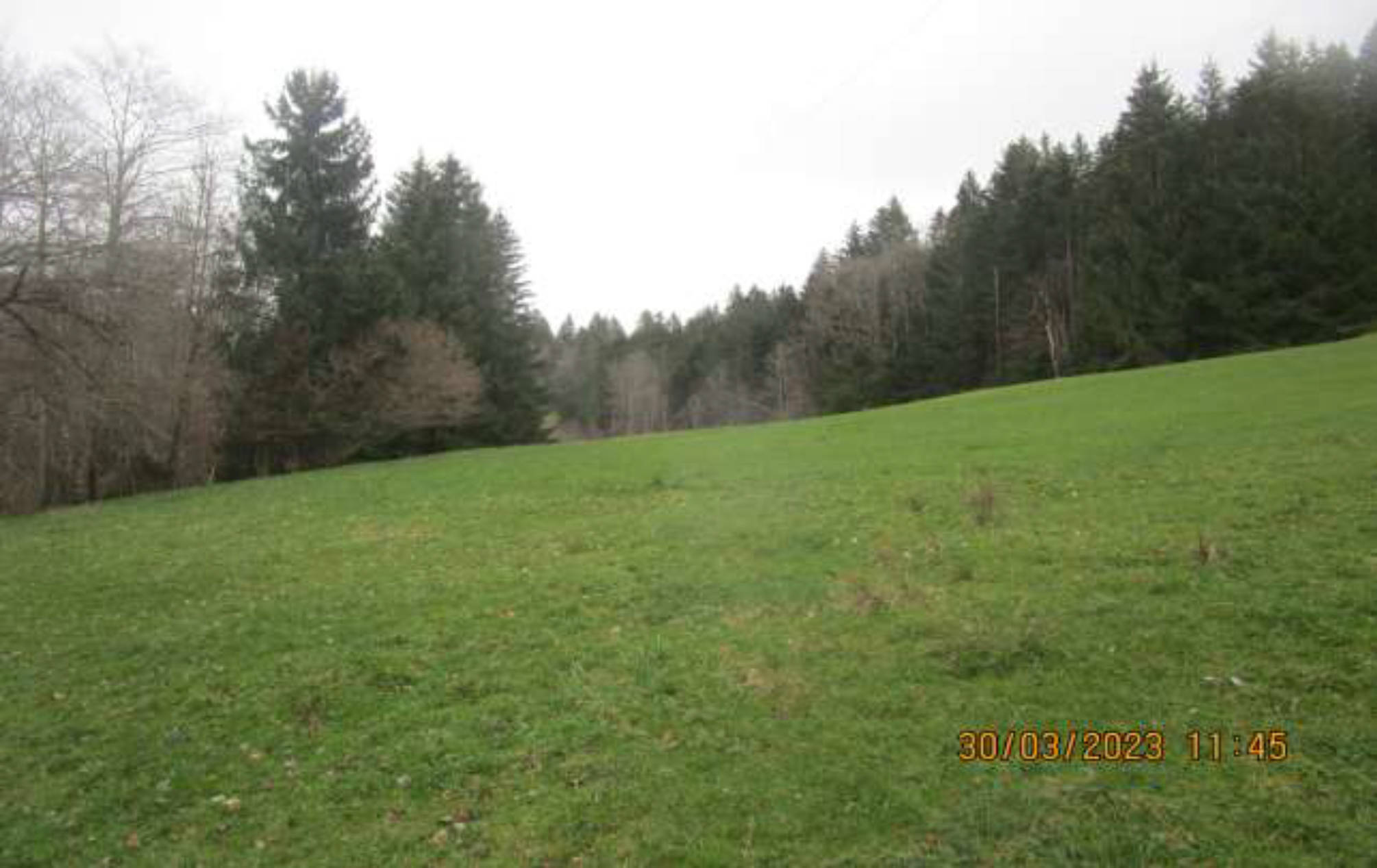 bayern K0046-2022 Schotthalden  , 87549 Rettenberg,