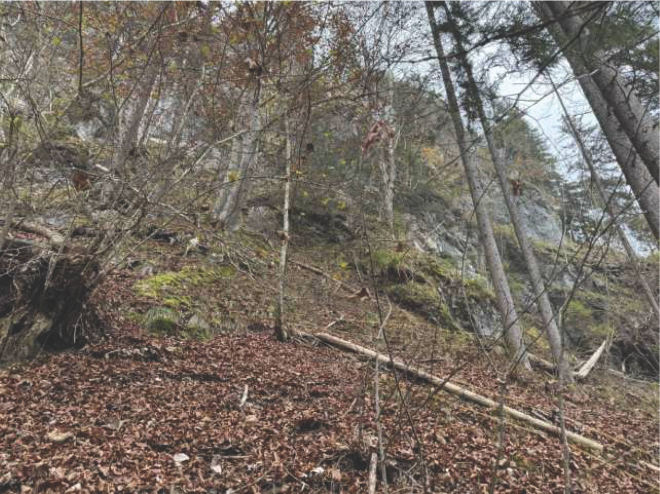bayern K0051-2024 Flur Wall, 83088 Kiefersfelden 8