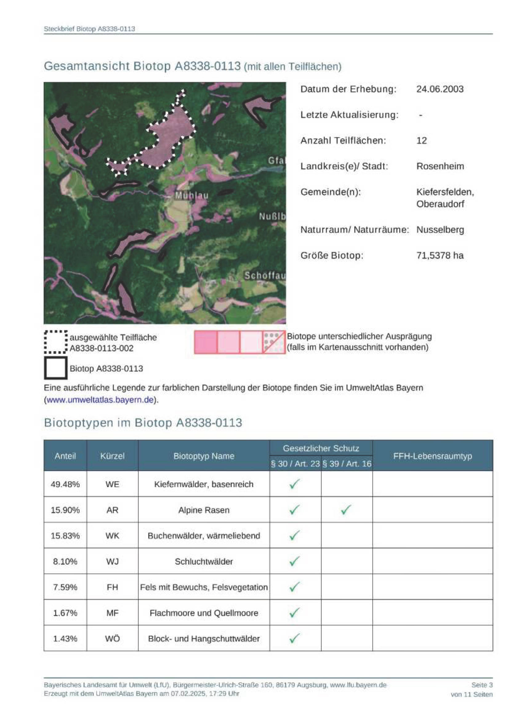 Wald in Flur Wall, 83088 Kiefersfelden - Bild 5