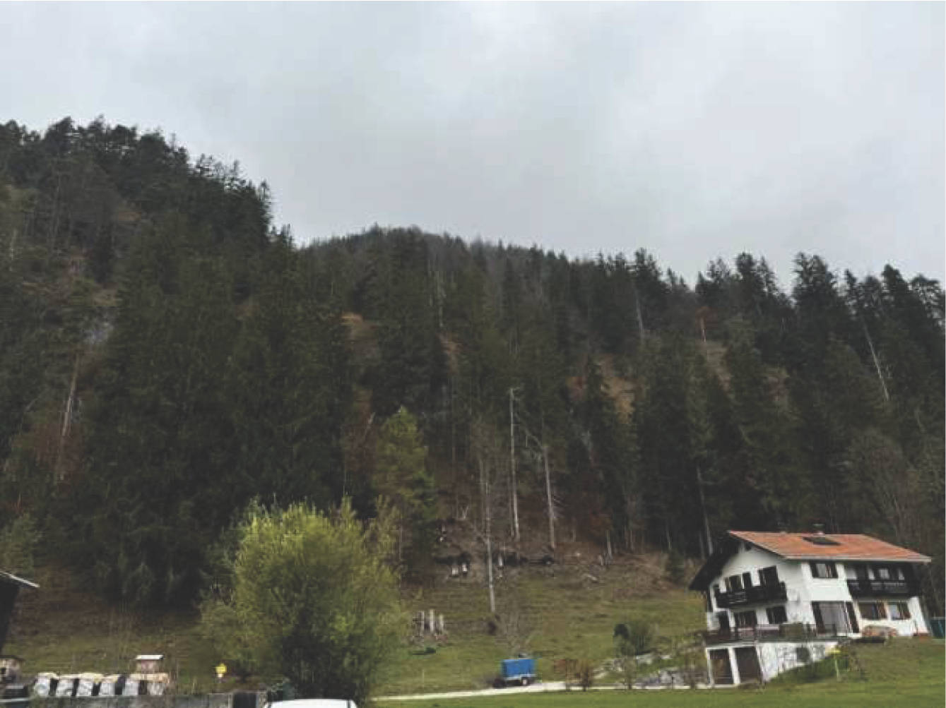 bayern K0051-2024 Flur Wall, 83088 Kiefersfelden 7