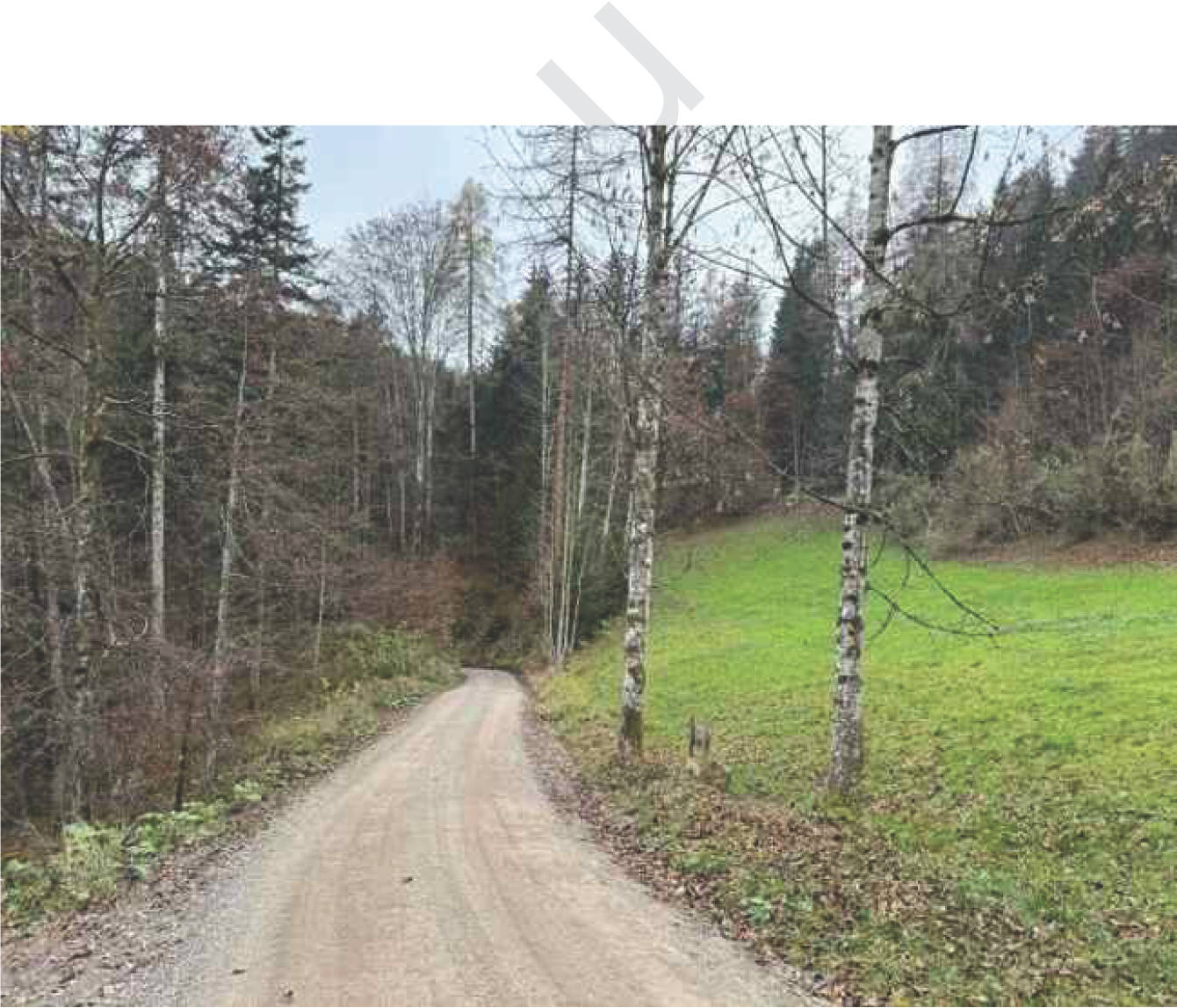 bayern K0052-2024 Flur Wall, 83088 Kiefersfelden 21