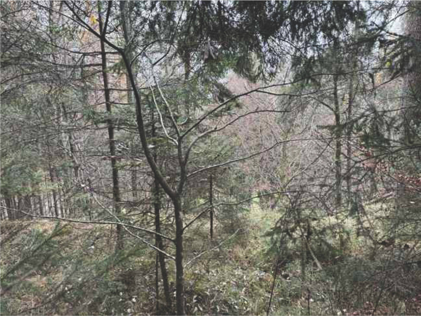 bayern K0052-2024 Flur Wall, 83088 Kiefersfelden 10