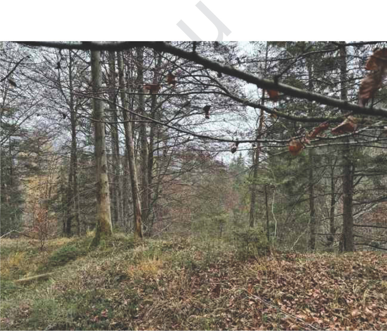 bayern K0052-2024 Flur Wall, 83088 Kiefersfelden 20
