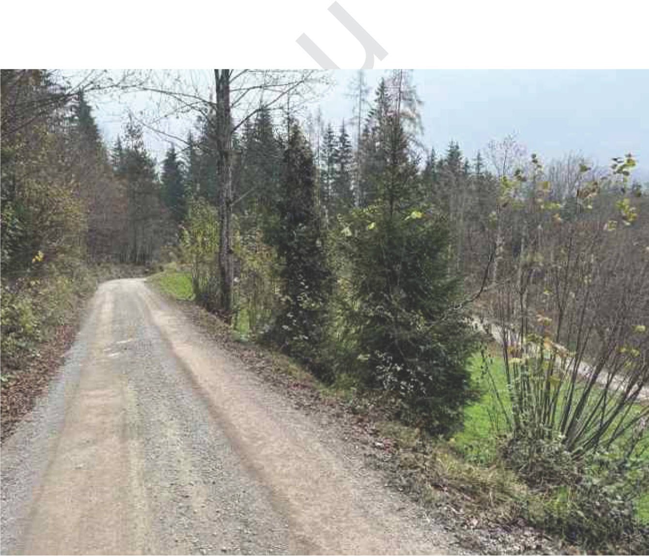 Wald-, Verkehrs- und Landwirtschaftsfläche in Flur Wall, 83088 Kiefersfelden