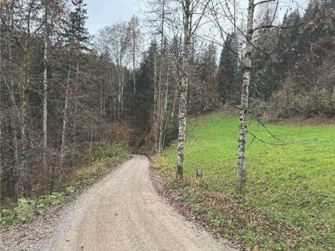 bayern K0052-2024 Flur Wall, 83088 Kiefersfelden 8
