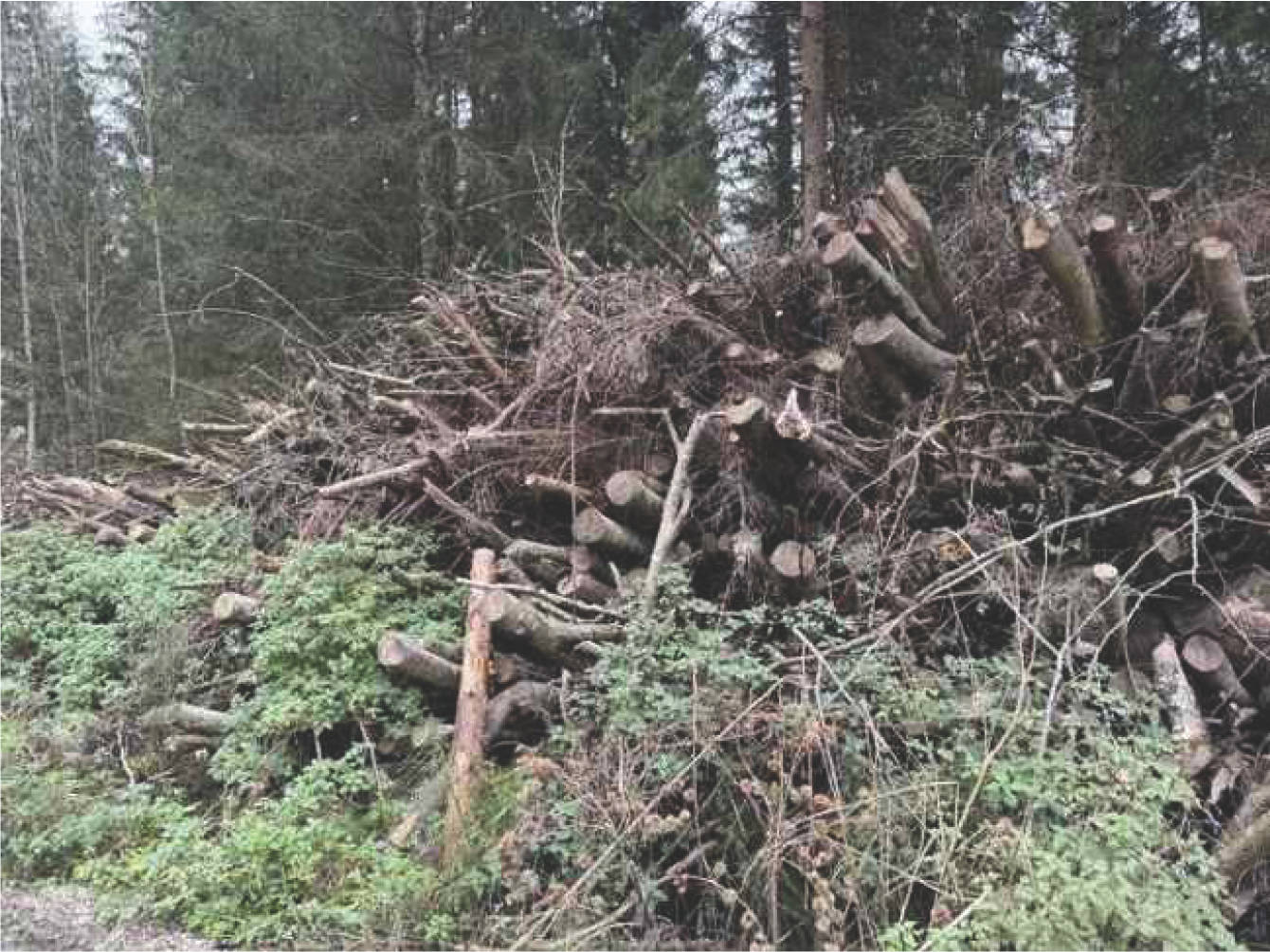 bayern K0052-2024 Flur Wall, 83088 Kiefersfelden 17