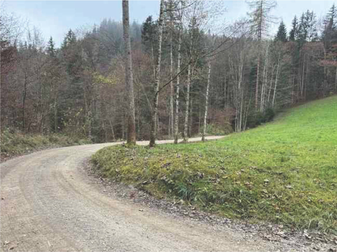 bayern K0052-2024 Flur Wall, 83088 Kiefersfelden 7