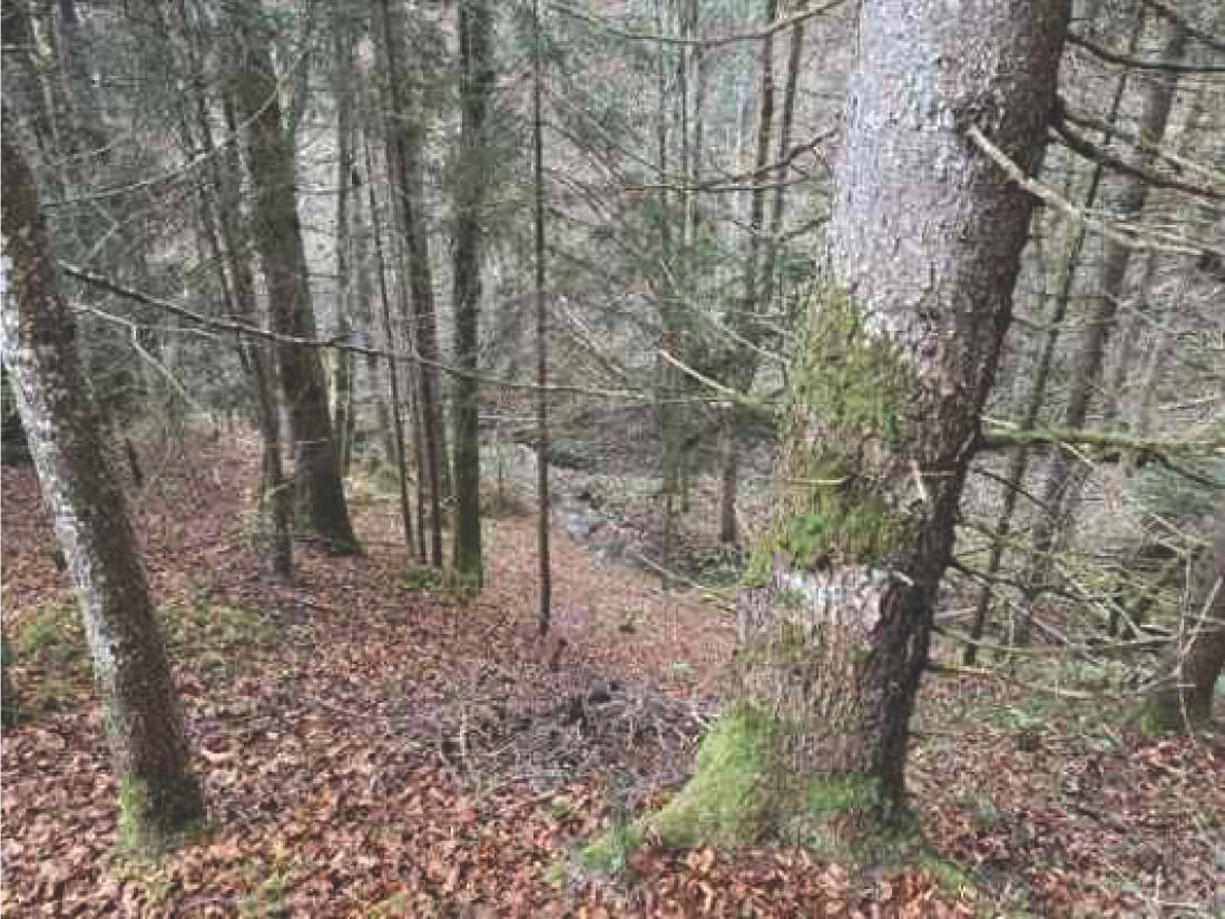 bayern K0060-2024 Flur Wall, 83088 Kiefersfelden 16