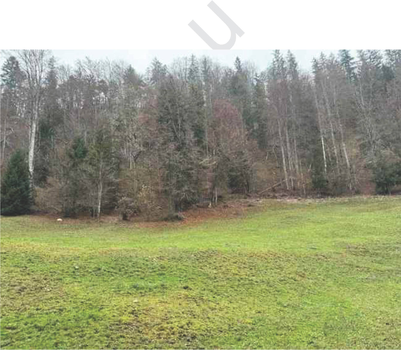 bayern K0060-2024 Flur Wall, 83088 Kiefersfelden 18