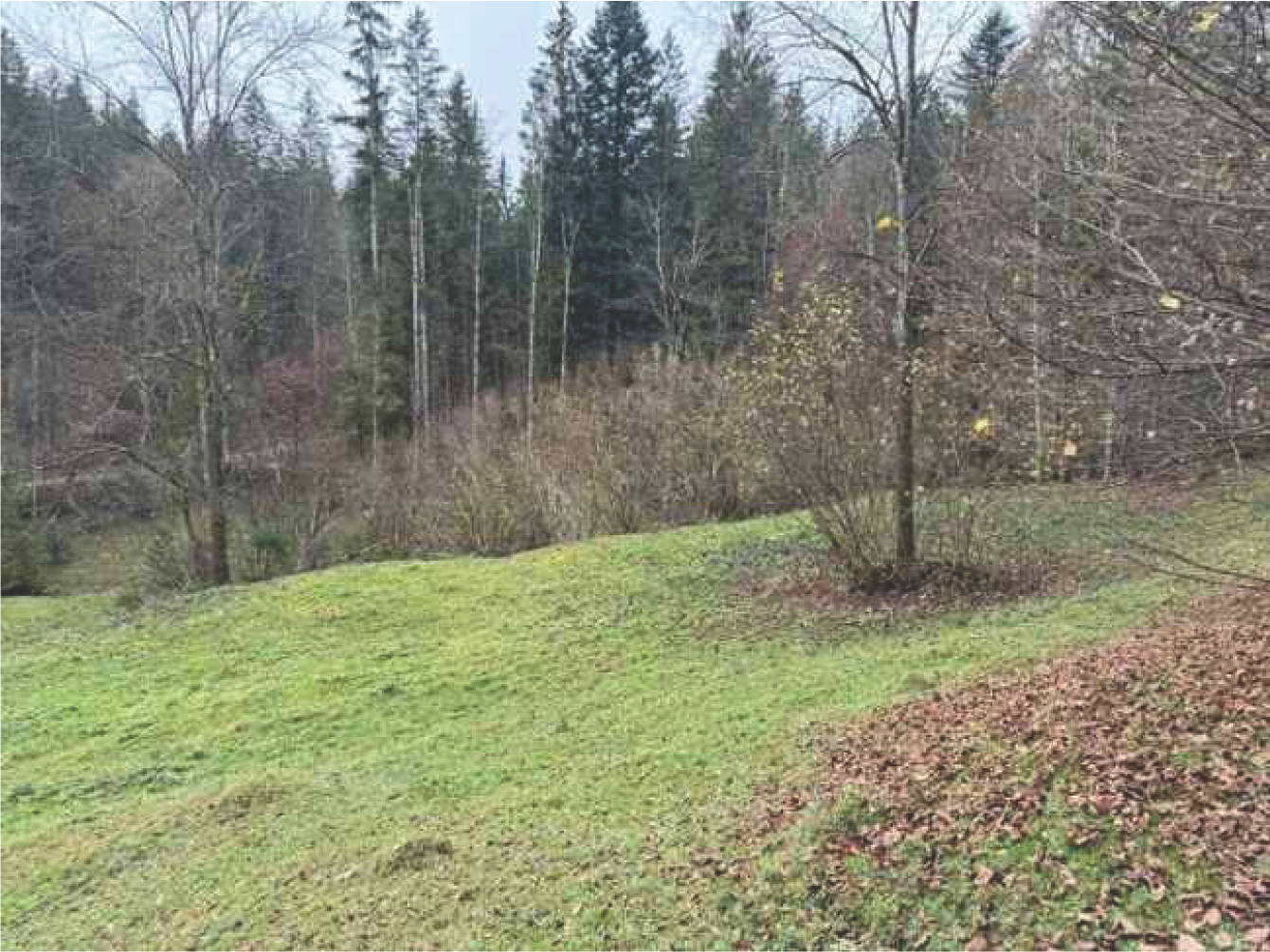 bayern K0060-2024 Flur Wall, 83088 Kiefersfelden 15