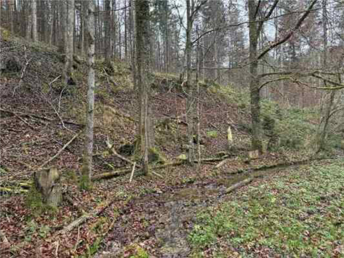 bayern K0060-2024 Flur Wall, 83088 Kiefersfelden 10