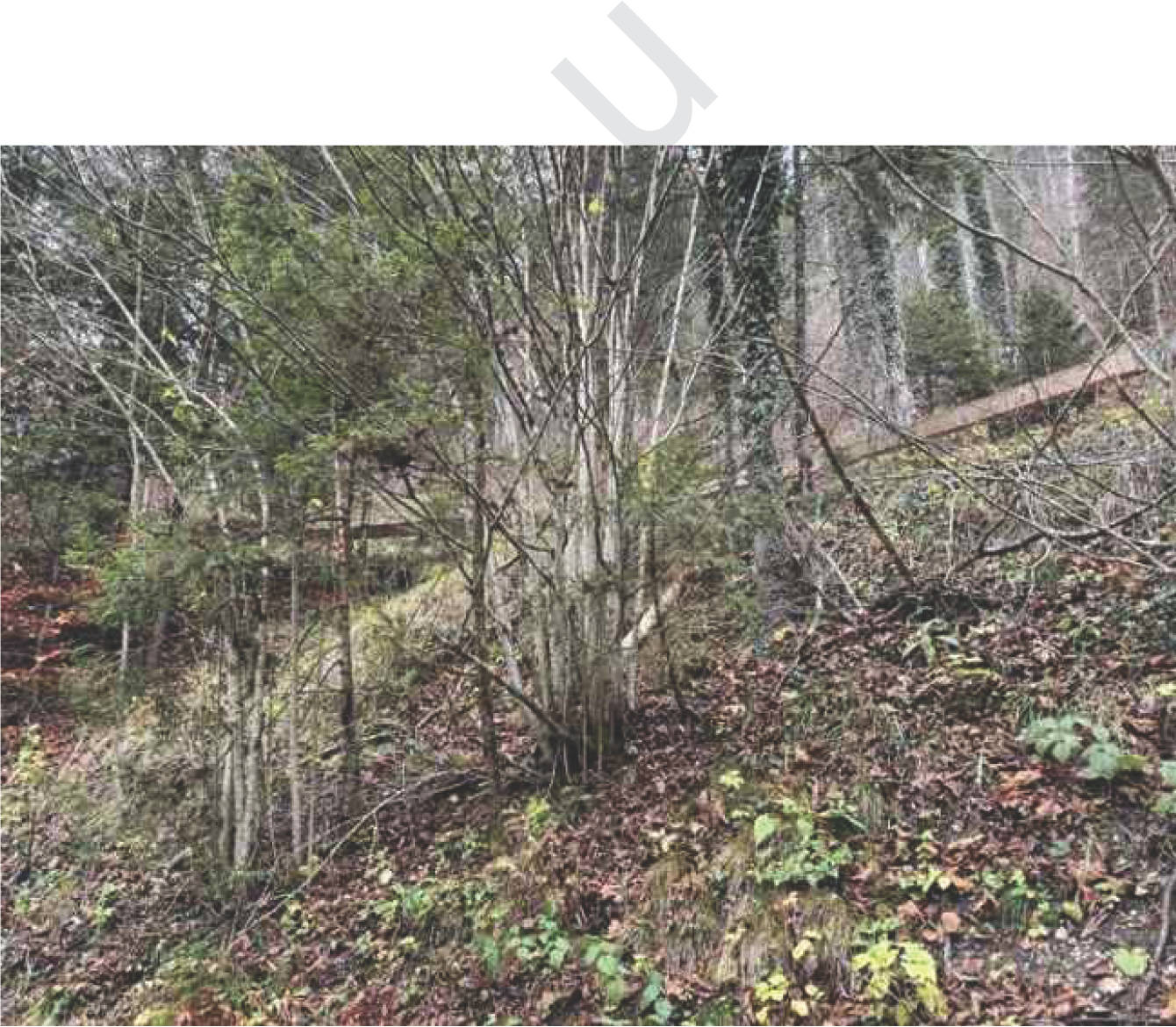 bayern K0060-2024 Flur Wall, 83088 Kiefersfelden 7