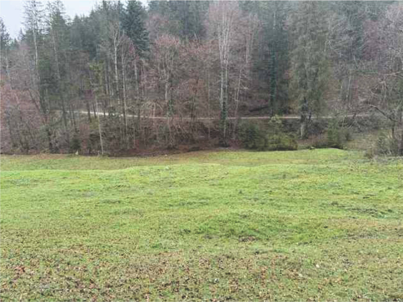 bayern K0060-2024 Flur Wall, 83088 Kiefersfelden 11