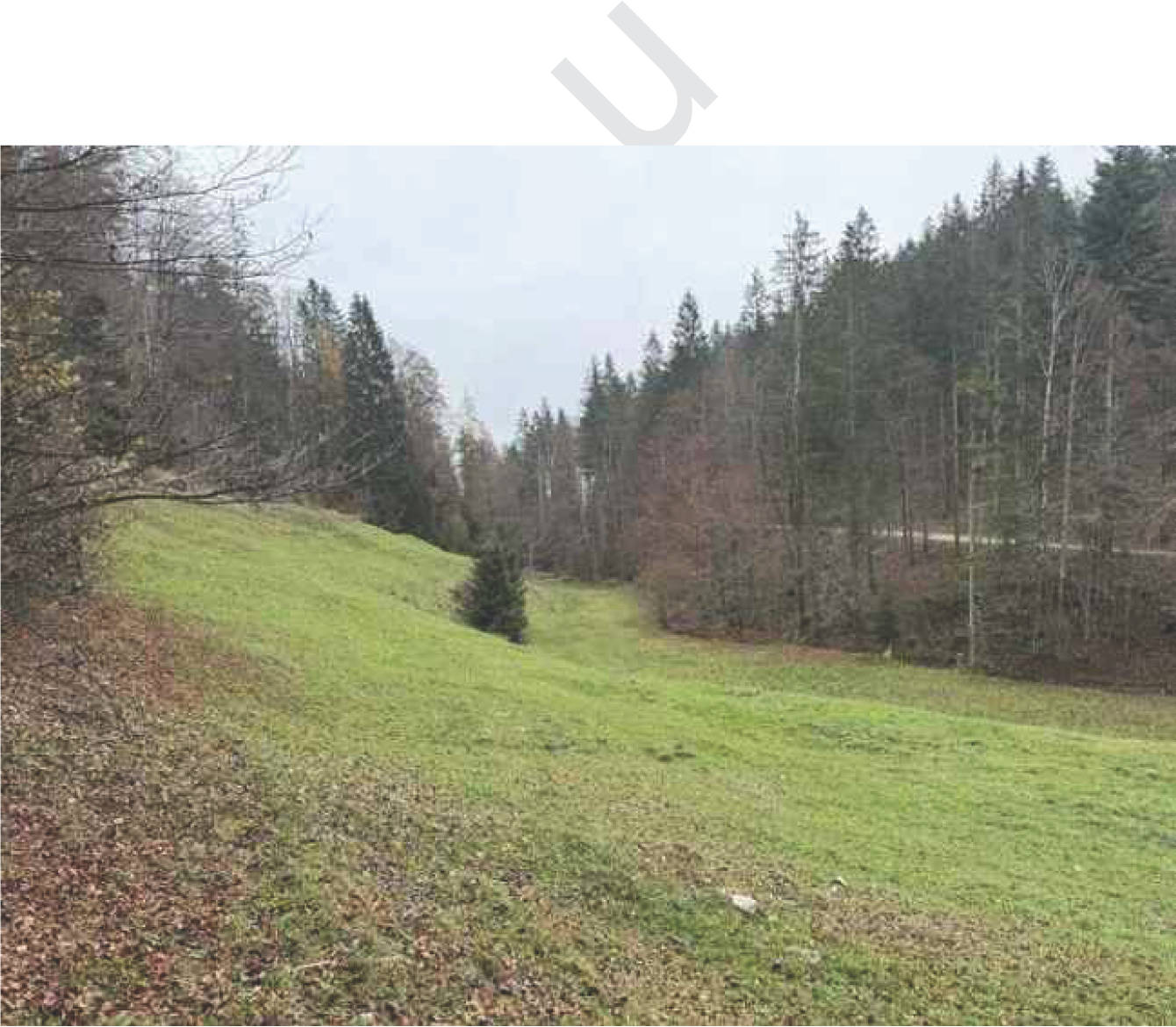 bayern K0060-2024 Flur Wall, 83088 Kiefersfelden 14