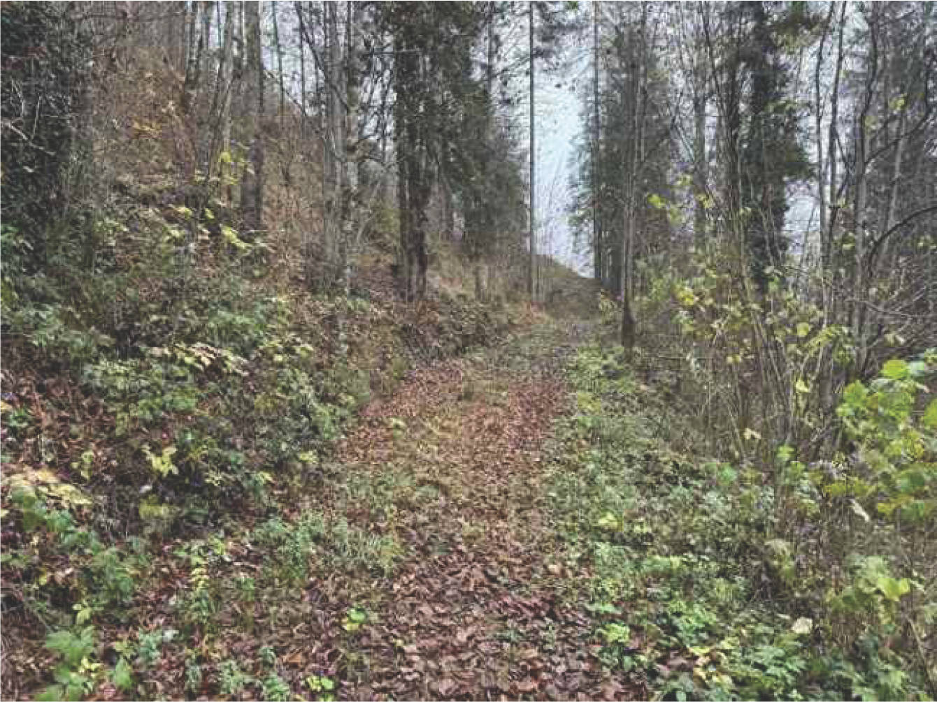 bayern K0060-2024 Flur Wall, 83088 Kiefersfelden 12