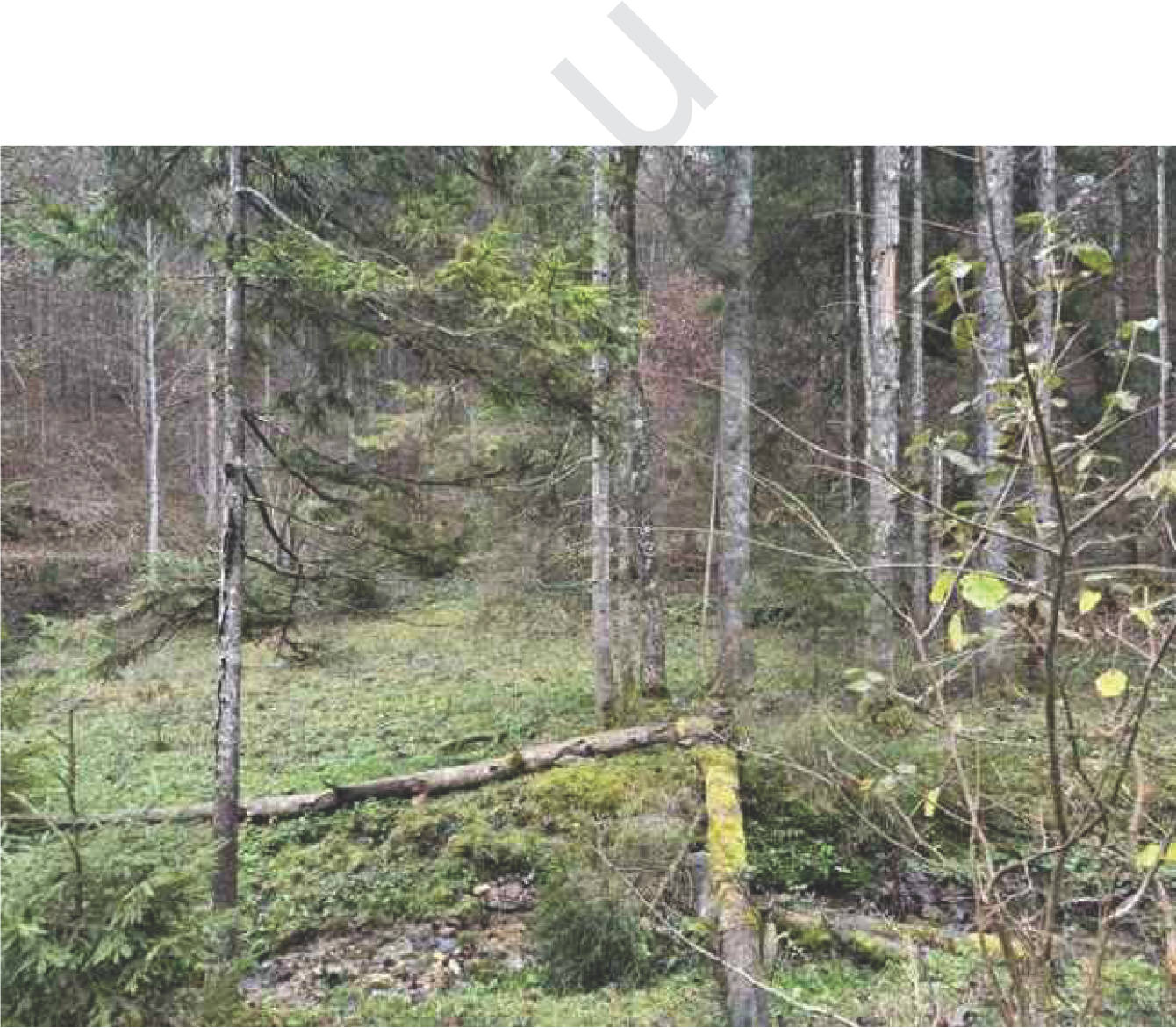 Flur Wall, 83088 Kiefersfelden