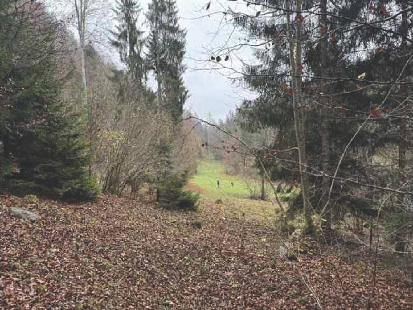bayern K0060-2024 Flur Wall, 83088 Kiefersfelden 13