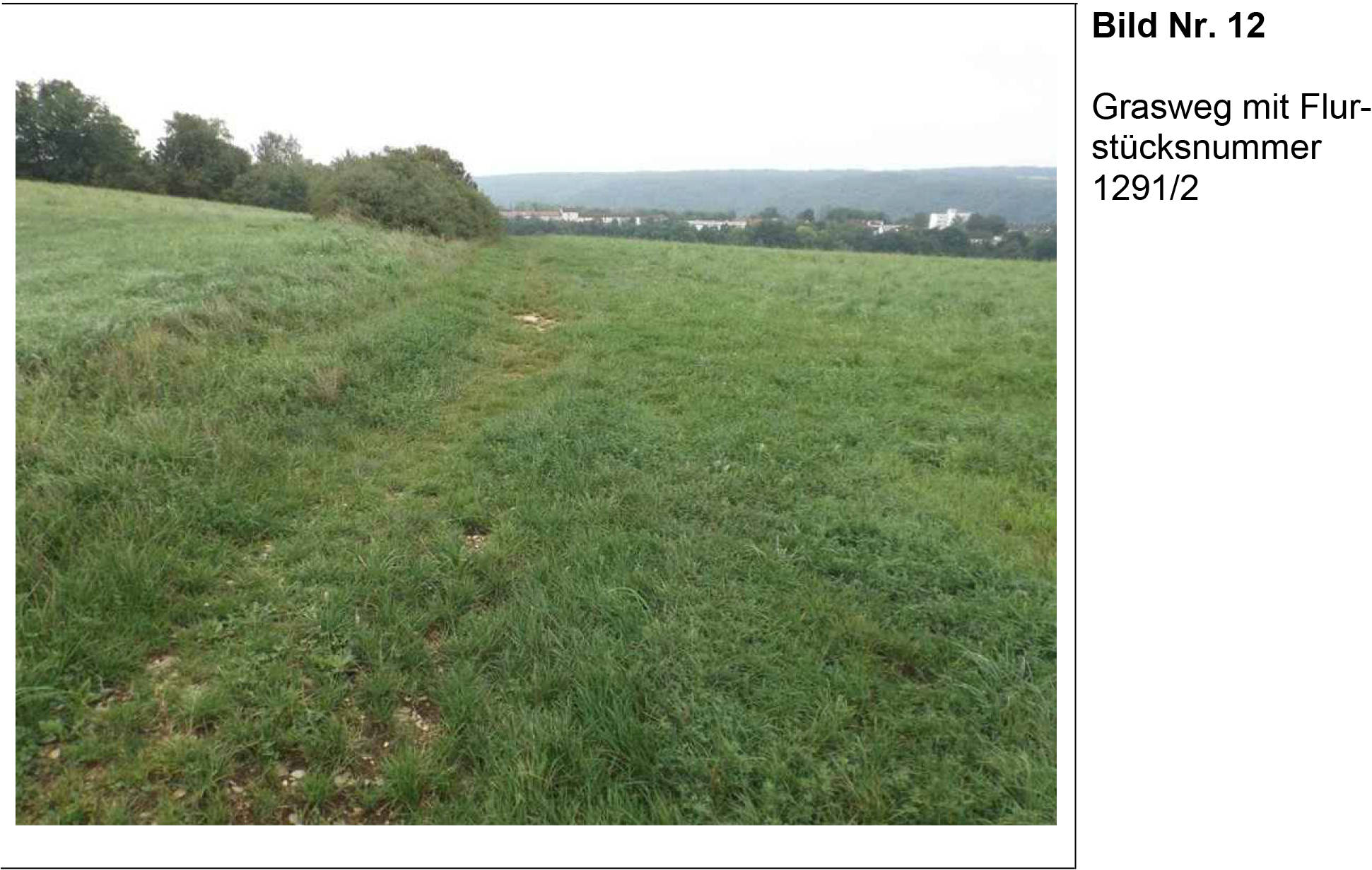 land- und forstwirtschaftlich genutztes Grundstück in Ziegelhofer Berg, 85072 Eichstätt-Preith - Bild 2