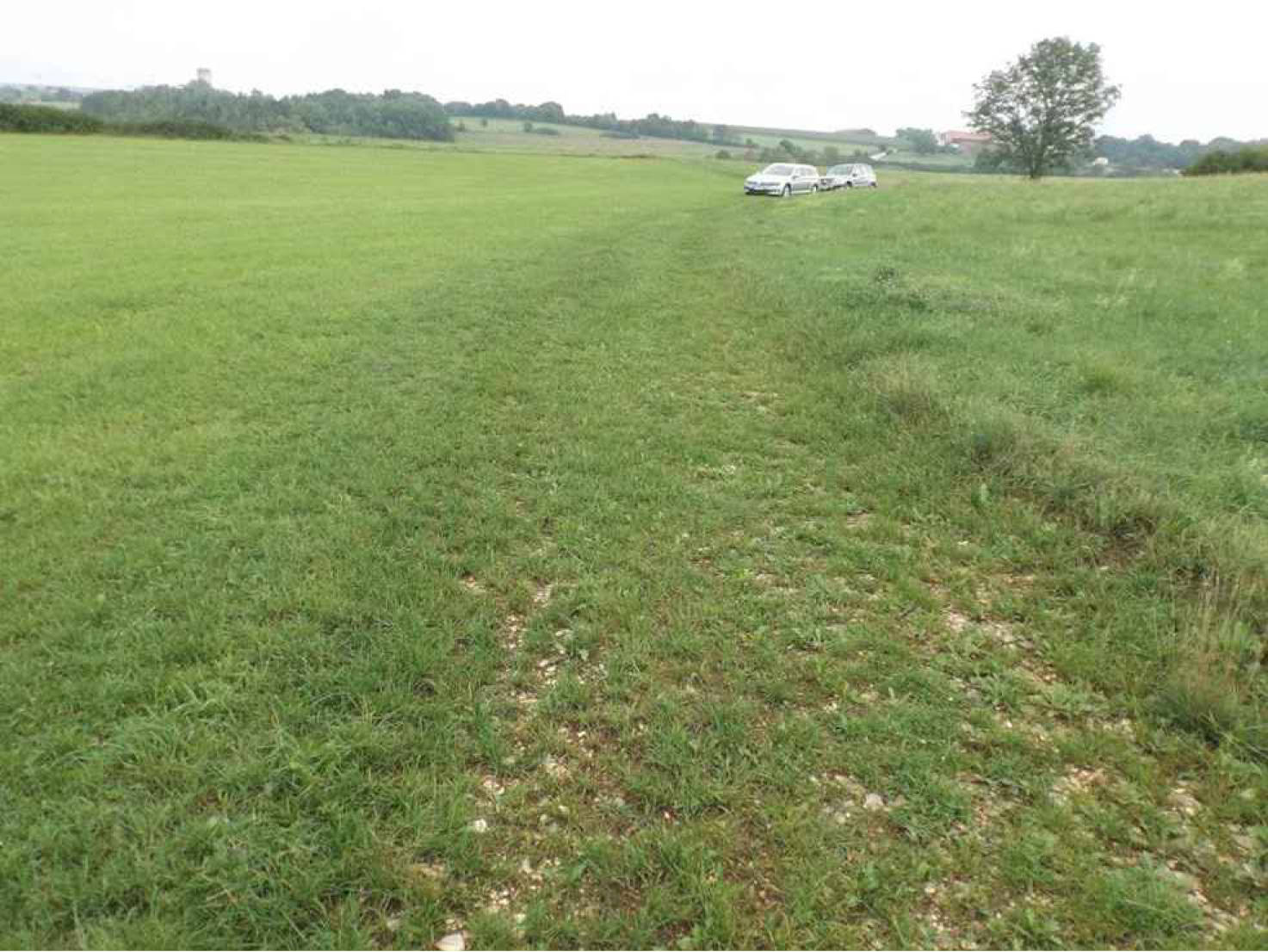 bayern K0064-2023 Ziegelhofer Berg, 85072 Eichstätt-Preith 15