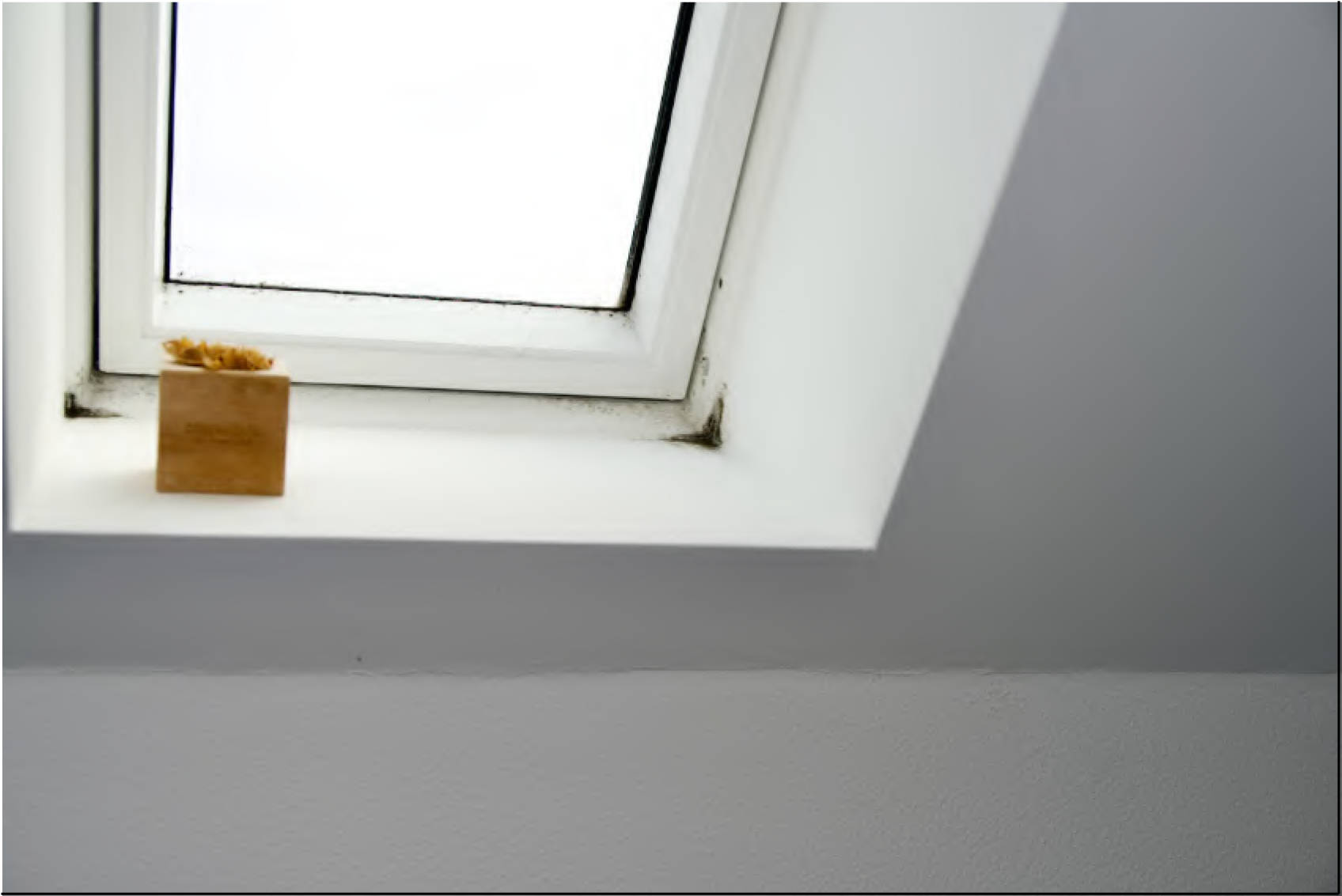 bayern K 0064/2025 Amaliastraße  12, 86609 Donauwörth 11