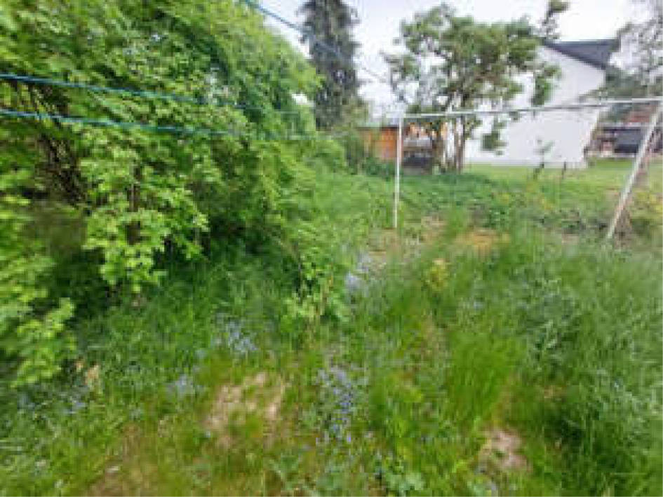 bayern K0069-2024 Medlerstraße 7, 95032 Hof, Moschendorf