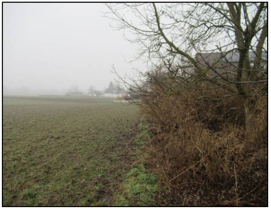 bayern K 0072/2024 Brunnerstraße  47 b, 85051 Ingolstadt 16