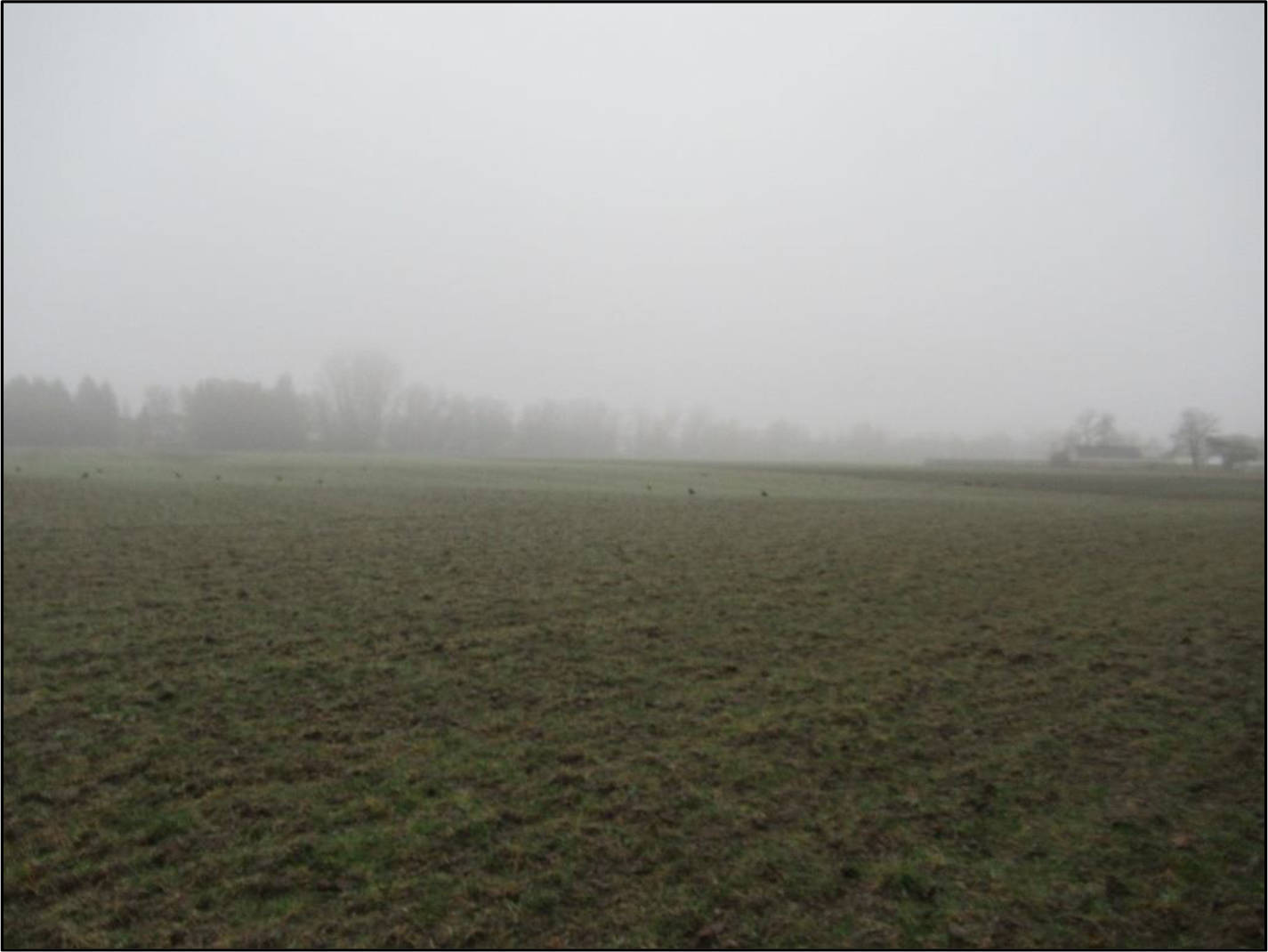 bayern K 0072/2024 Brunnerstraße  47 b, 85051 Ingolstadt 8