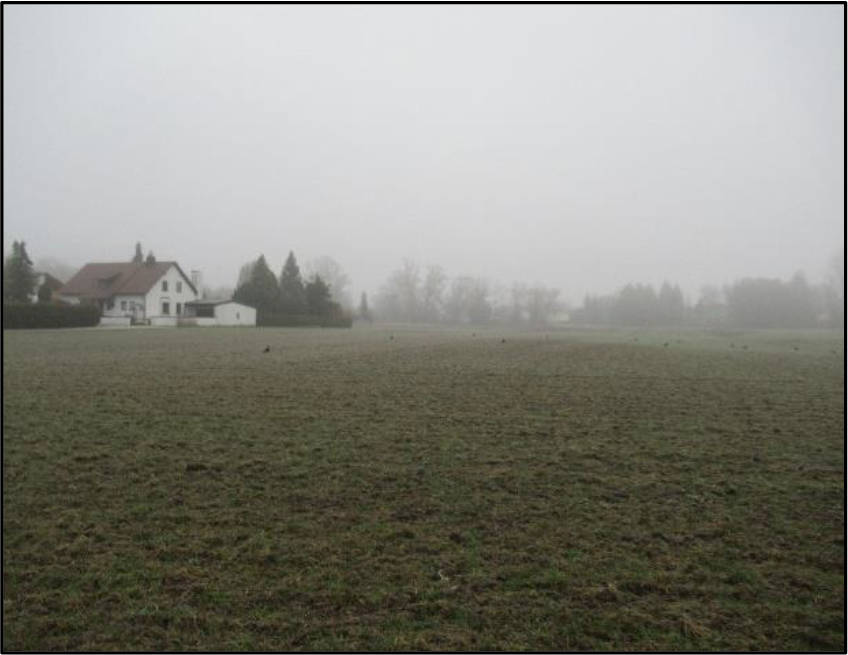 bayern K 0072/2024 Brunnerstraße  47 b, 85051 Ingolstadt 13