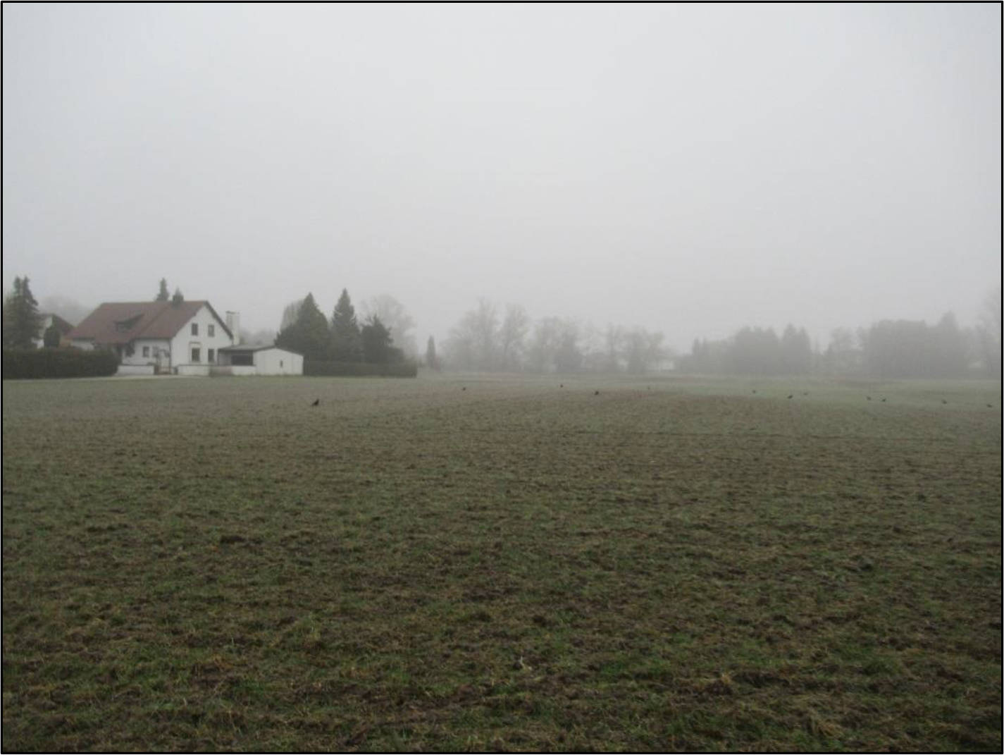 bayern K 0072/2024 Brunnerstraße  47 b, 85051 Ingolstadt 7