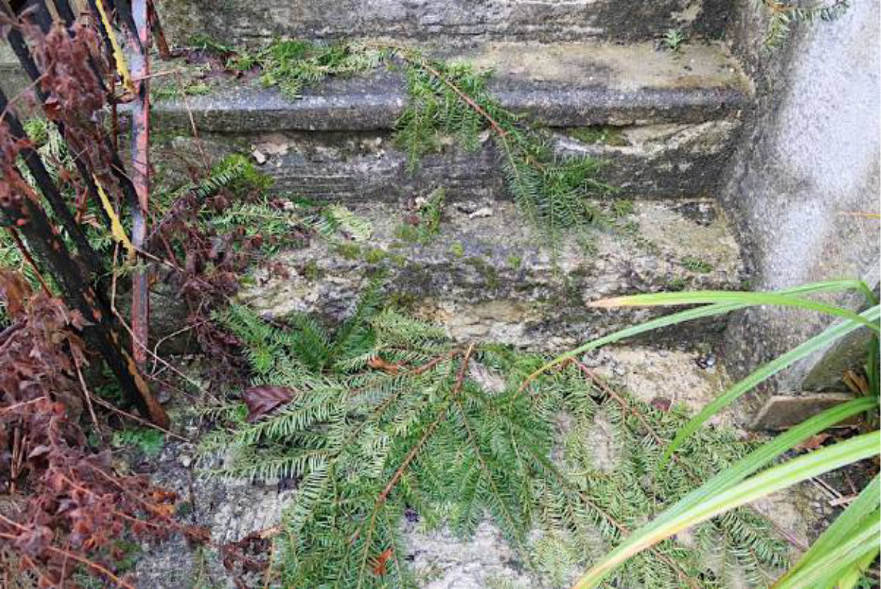 bayern K 0075/2024 Lindenbergstraße 30, 86368 Gersthofen, Edenbergen 14