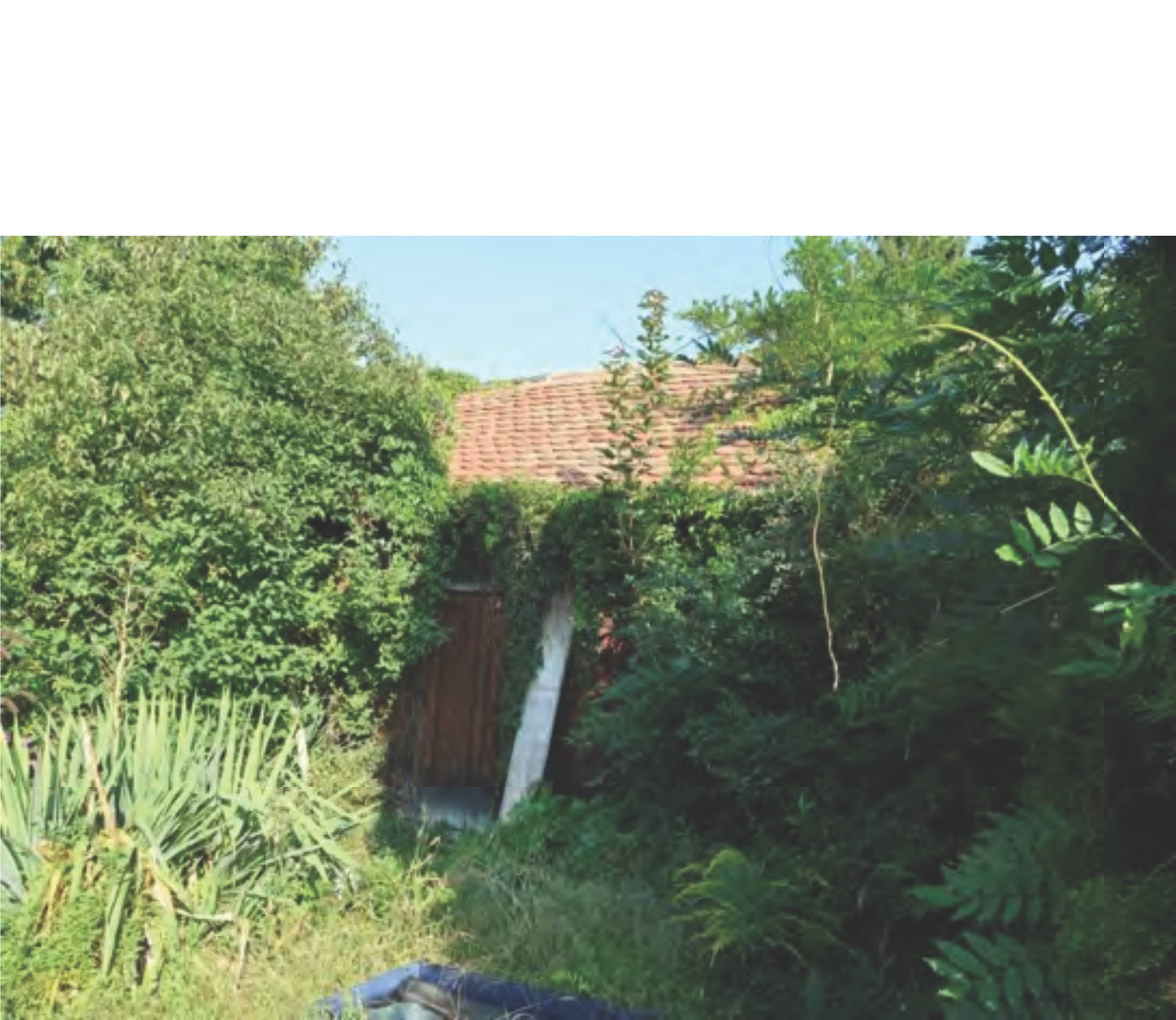 Doppelhaushälfte in Am Zacherkeller 6, 86529 Schrobenhausen - Bild 2