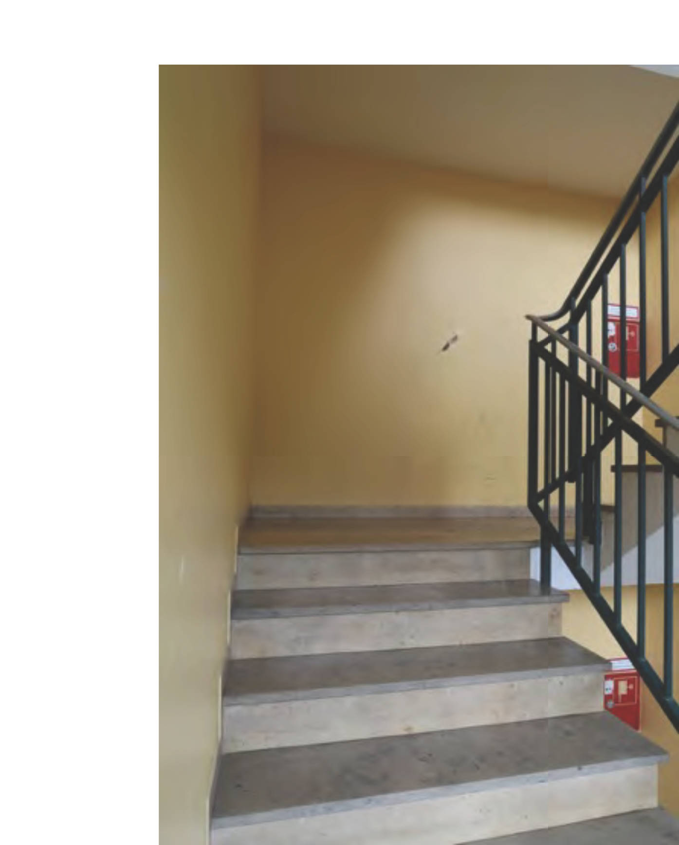 bayern K 0105/2023 Waldeysenstraße 19, 85057 Ingolstadt 12