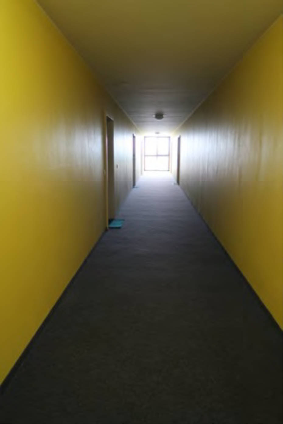 bayern K 0105/2023 Waldeysenstraße 19, 85057 Ingolstadt 13