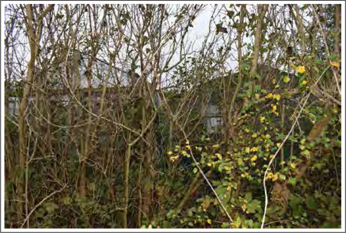 bayern K 0111/2023 Westerhamer Str. 3, 86565 Gachenbach-Peutenhausen 25